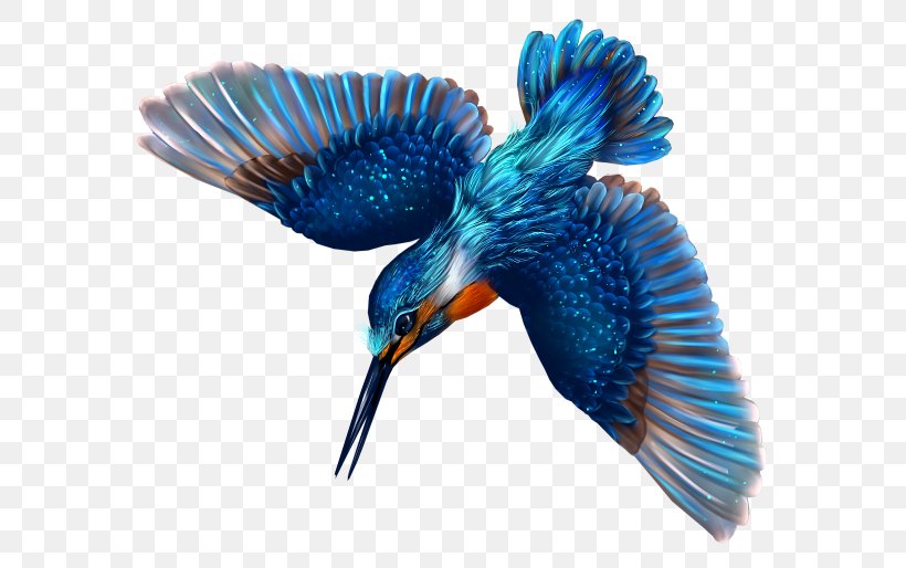 Hummingbird Clip Art Image Desktop Wallpaper, PNG, 595x514px, Hummingbird, Beak, Bird, Color, Data Compression Download Free