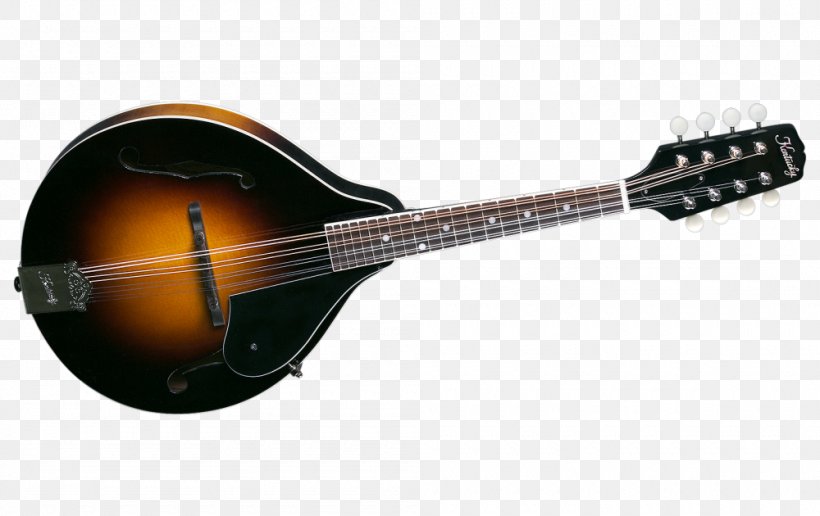 Mandolin Banjo Guitar Acoustic Guitar Tiple Acoustic-electric Guitar, PNG, 1000x630px, Watercolor, Cartoon, Flower, Frame, Heart Download Free