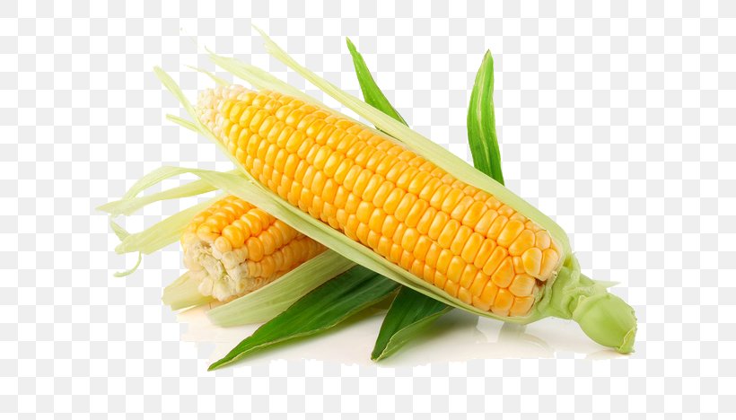 Corn On The Cob Candy Corn Waxy Corn Vegetable Sweet Corn, PNG, 658x468px, Corn On The Cob, Candy Corn, Cereal, Commodity, Corn Kernel Download Free