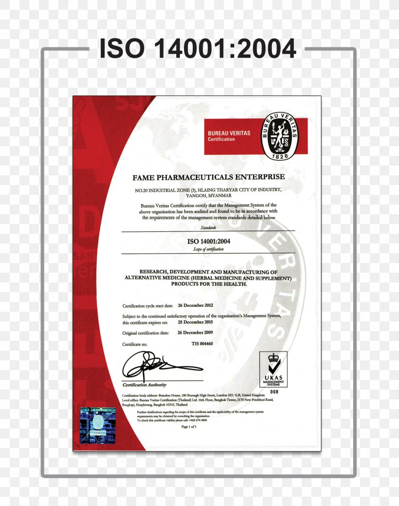 ISO 9000 International Organization For Standardization Font, PNG, 1464x1855px, Iso 9000, Text Download Free