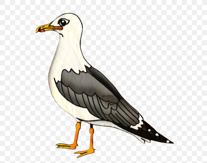 Utah Gulls Clip Art Bird Delaware, PNG, 593x648px, Utah, Albatross, Beak, Bird, Charadriiformes Download Free