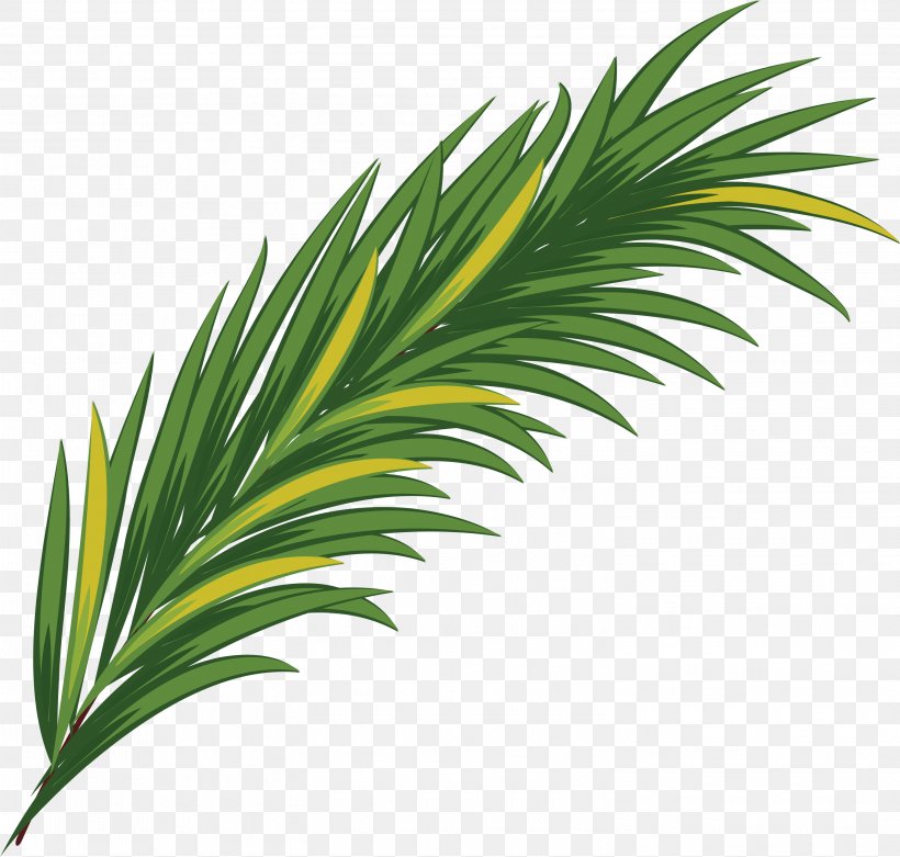 Green Watercolor Painting Leaf, PNG, 3001x2860px, Green, Arecaceae, Arecales, Designer, Google Images Download Free