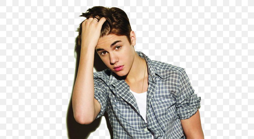 Justin Bieber Believe Tour Musician Album, PNG, 600x450px, Watercolor, Cartoon, Flower, Frame, Heart Download Free