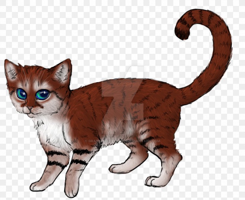 Kitten Cartoon, PNG, 900x734px, Whiskers, American Bobtail, American Wirehair, Asian, Cat Download Free