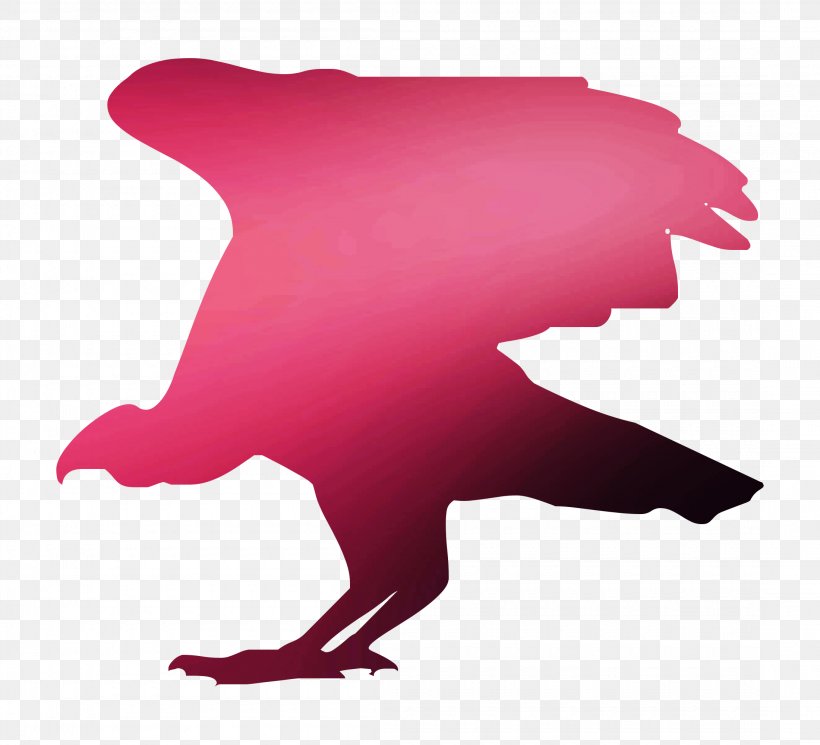 Wall Decal Car Window Animal, PNG, 2200x2000px, Decal, Andean Condor, Animal, Bumper, Bumper Sticker Download Free