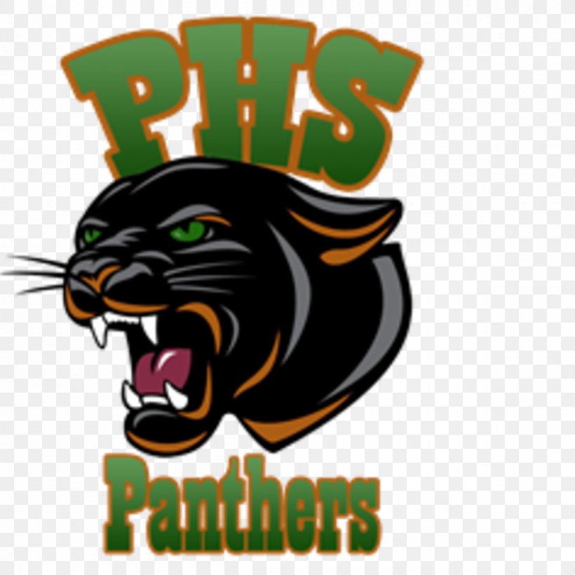 Anderson Valley Junior-Senior High School Sonoma State University Porterville College National Secondary School, PNG, 1200x1200px, Sonoma State University, Big Cats, Brand, Carnivoran, Cat Like Mammal Download Free