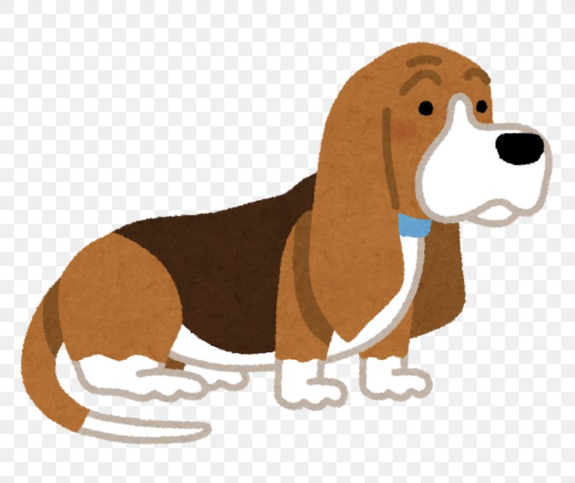 Dog Breed Basset Hound Puppy Beagle Dachshund, PNG, 800x690px, Dog Breed, Basset Hound, Beagle, Black And Tan Coonhound, Bluetick Coonhound Download Free