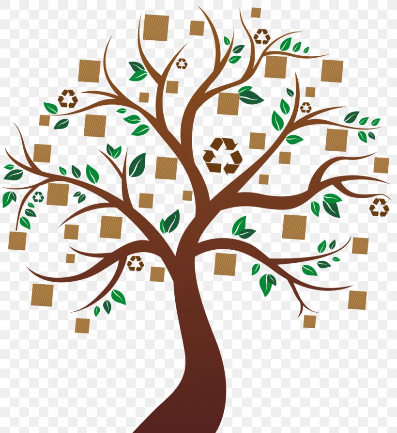 Clip Art Branch Tree Wood Trunk, PNG, 1004x1094px, Branch, Art, Botany, Box, Fefco Download Free