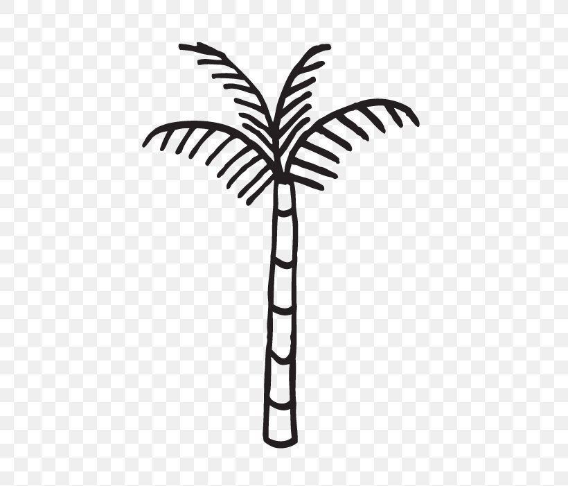 Date Tree Leaf, PNG, 492x701px, Palm Trees, Arecales, Blackandwhite, Coconut, Date Palm Download Free