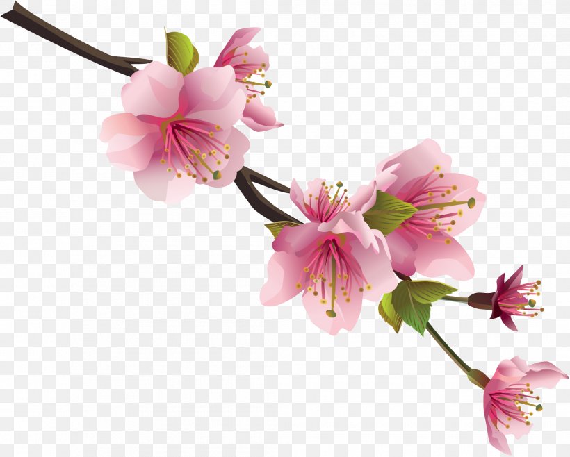 Flower Clip Art, PNG, 2114x1698px, Flower, Blossom, Branch, Cherry Blossom, Collage Download Free