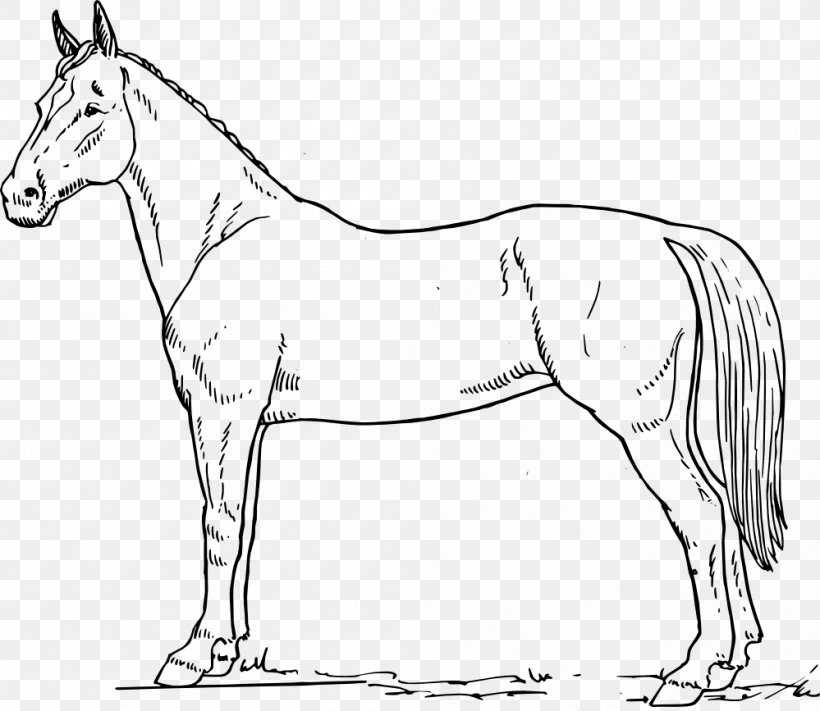 Horse Drawing Equestrian Clip Art, PNG, 999x867px, Horse, Animal Figure, Artwork, Black, Black And White Download Free