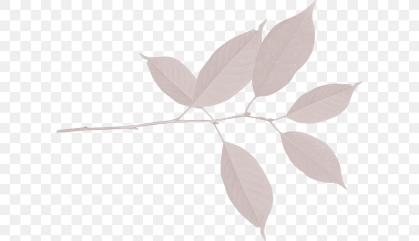 Leaf Petal Plant Stem, PNG, 600x471px, Leaf, Branch, Flower, Net, Petal Download Free