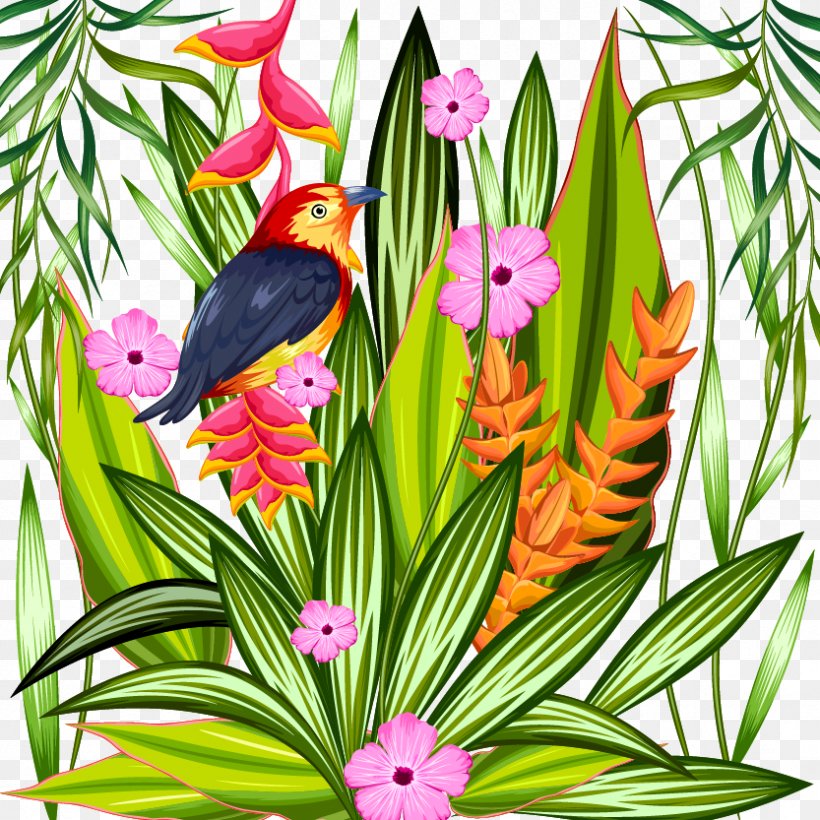 Parrot Tropics Tropical Rainforest Illustration, PNG, 833x833px, Parrot, Art, Beak, Bird, Drawing Download Free