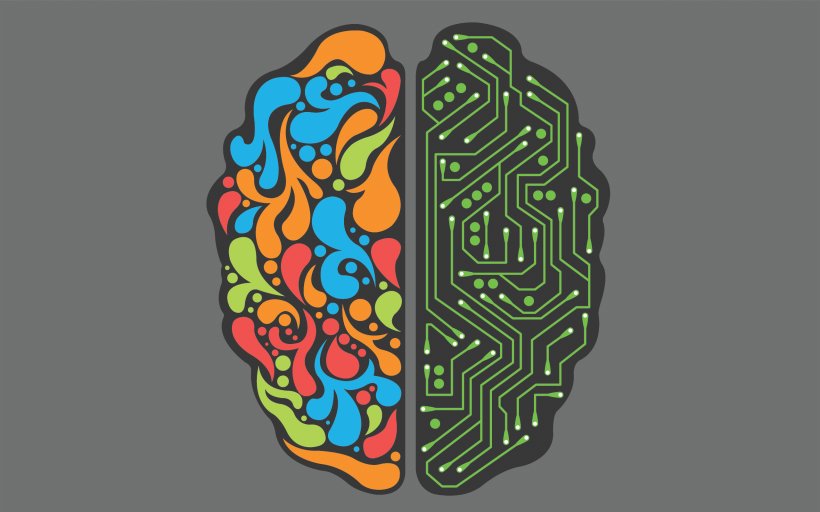 Lateralization Of Brain Function Desktop Wallpaper Cerebral Hemisphere Temporal Lobe, PNG, 2560x1600px, Watercolor, Cartoon, Flower, Frame, Heart Download Free