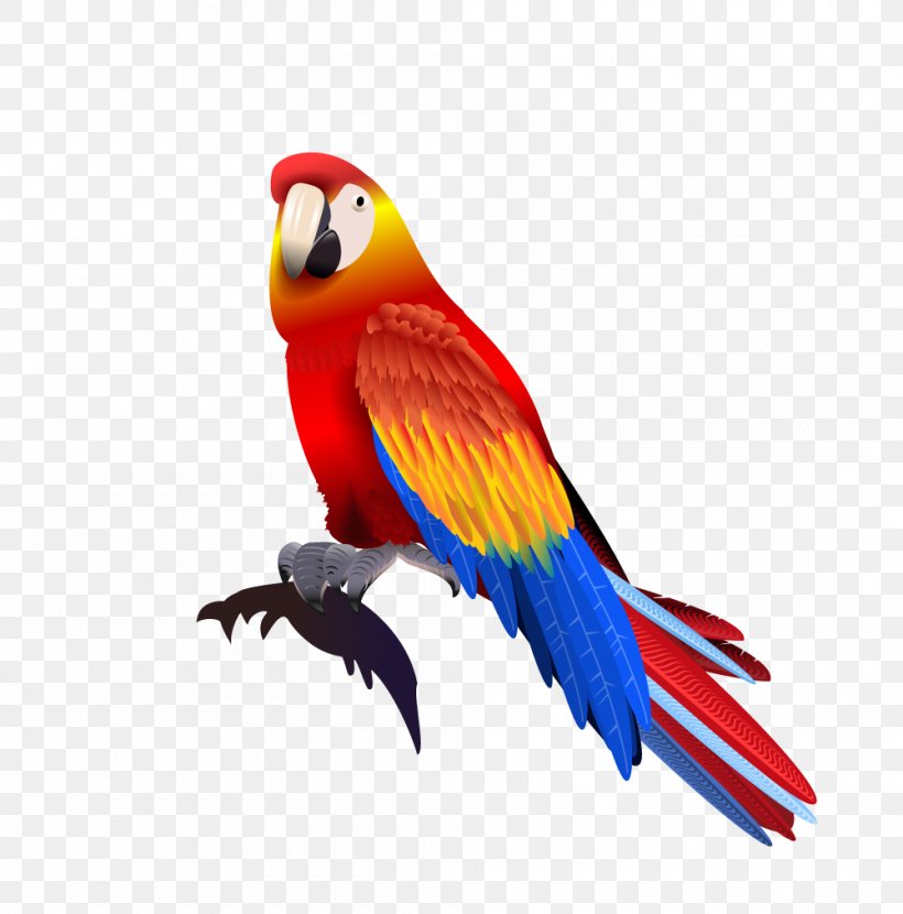 Parrot Macaw, PNG, 1000x1013px, Parrot, Beak, Bird, Cartoon, Common Pet Parakeet Download Free