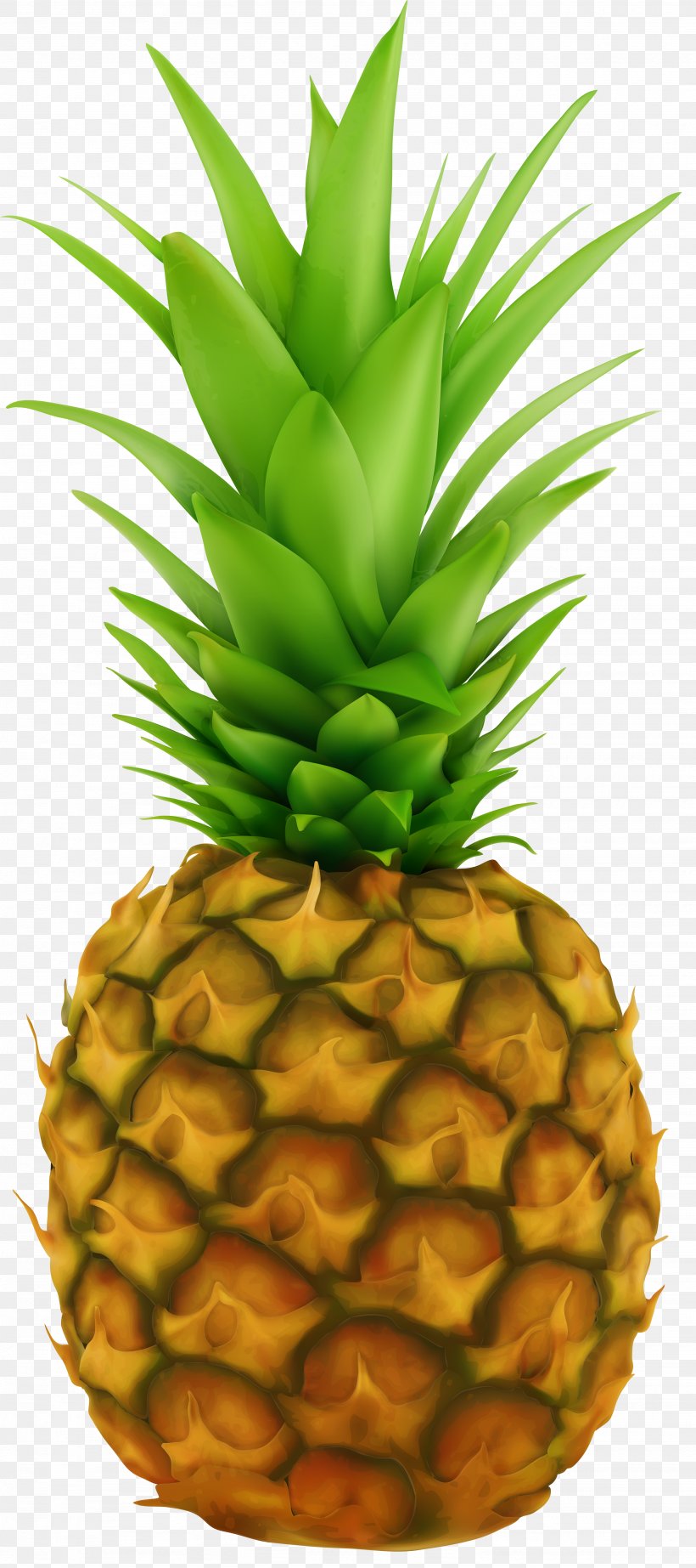 Pineapple Fruit Clip Art, PNG, 2666x6000px, Pineapple, Ananas, Animation, Blog, Bromeliaceae Download Free