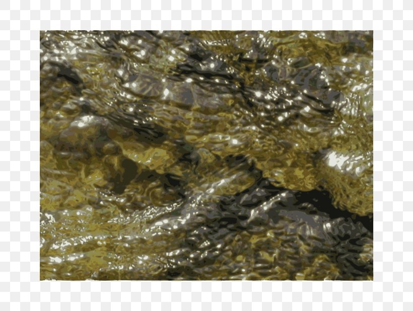 Rock Ije Kanohedv Dahlohisdv, PNG, 800x618px, Rock, Fauna, Organism, Tree, Water Download Free