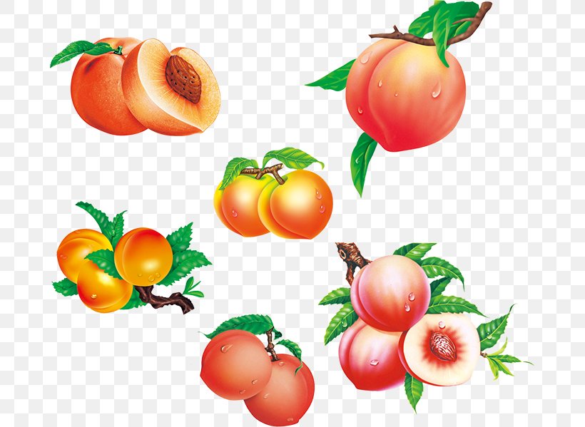 Saturn Peach Fruit Auglis, PNG, 679x599px, Saturn Peach, Acerola, Acerola Family, Apple, Auglis Download Free