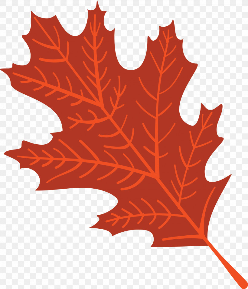Autumn Leaf Colourful Foliage Colorful Leaves, PNG, 2581x3000px, Autumn Leaf, Biology, Colorful Leaf, Colorful Leaves, Colourful Foliage Download Free