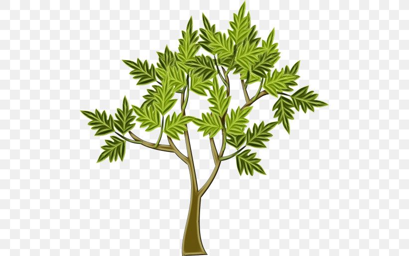 Leaf Plant Stem Tree Flowerpot Branching, PNG, 500x514px, Watercolor, Biology, Branching, Flowerpot, Leaf Download Free