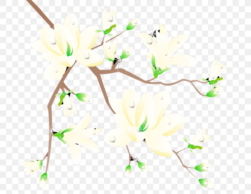 Plum Blossom Flower, PNG, 700x633px, Plum Blossom, Blossom, Branch, Flora, Floral Design Download Free