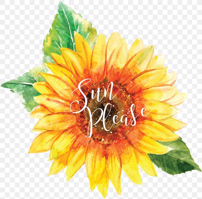 Flowers Background, PNG, 1339x1319px, Sunflower, Annual Plant, Artificial Flower, Asterales, Barberton Daisy Download Free