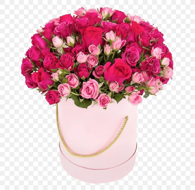 Garden Roses Flower Bouquet Belyye Rozy Pink, PNG, 800x800px, Garden Roses, Artificial Flower, Artikel, Begonia, Blue Rose Download Free