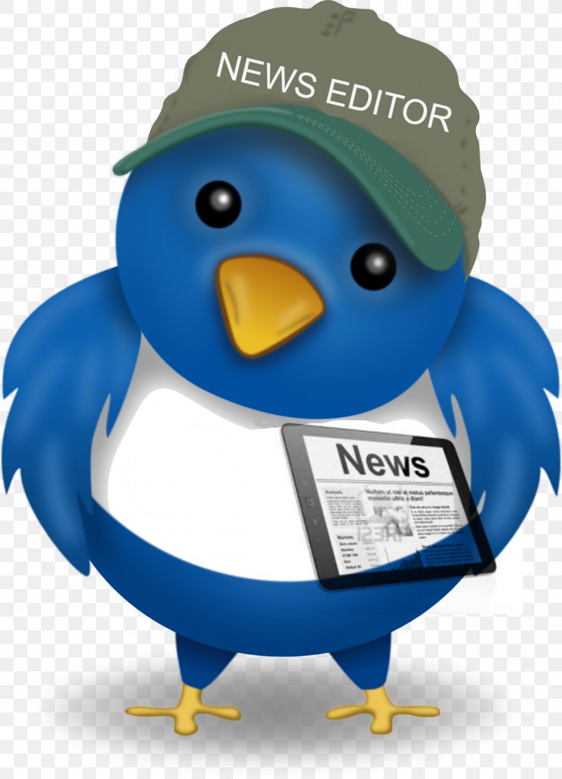 Journalism Public Relations Journalist Media Relations News, PNG, 1153x1600px, Journalism, Beak, Bird, Blog, Cision Download Free