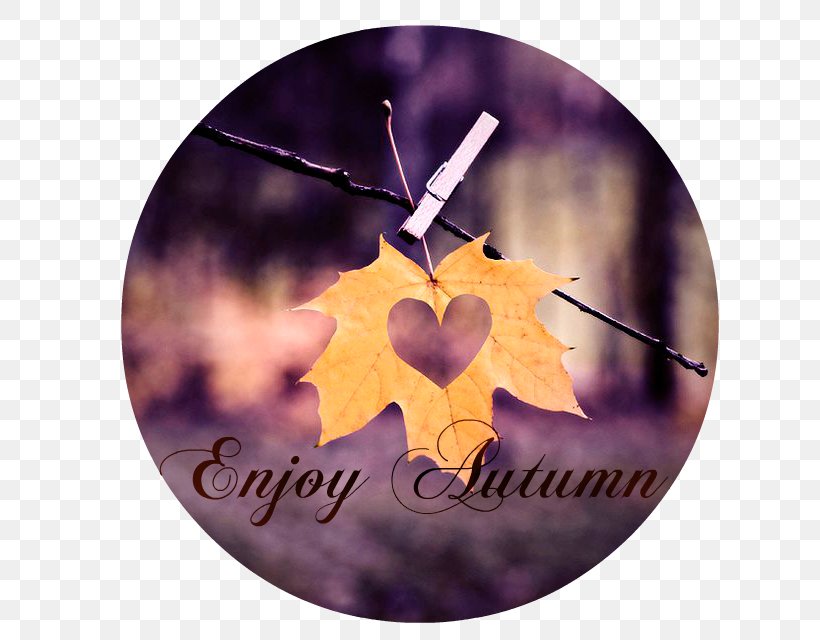 Autumn Leaf Color Heart Love, PNG, 640x640px, Autumn, Autumn Leaf Color, Color, Gift, Green Download Free