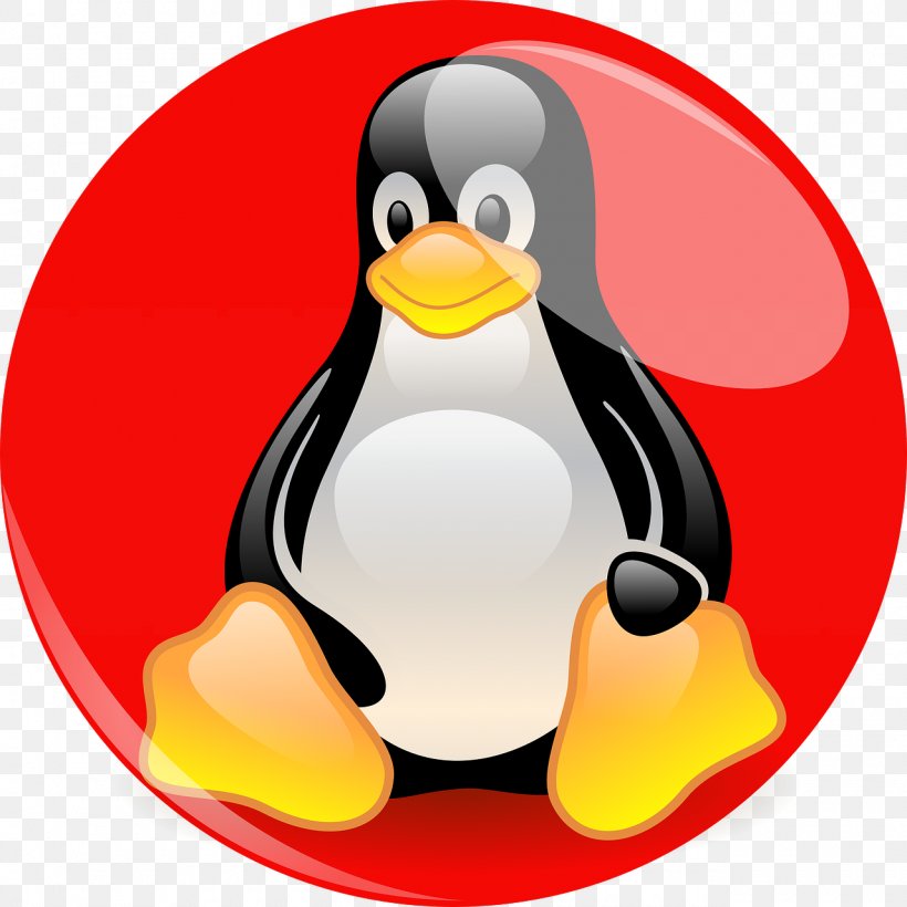 Penguin Red Hat Enterprise Linux Red Hat Linux Tux, PNG, 1280x1280px, Penguin, Beak, Bird, Computer Servers, Computer Software Download Free