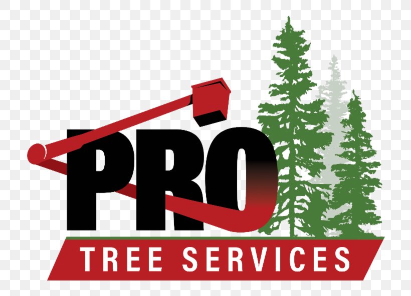 Pro Tree Services Burnaby Christmas Tree Coquitlam, PNG, 800x592px, Burnaby, Brand, Christmas, Christmas Decoration, Christmas Ornament Download Free