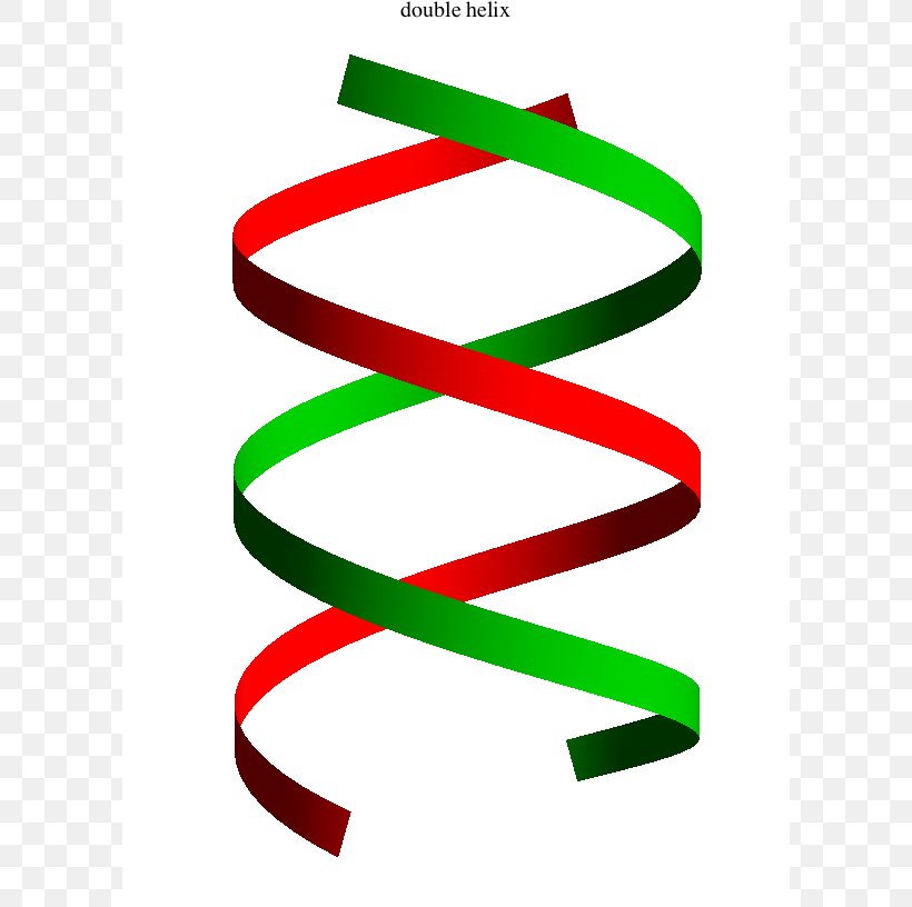 The Double Helix: A Personal Account Of The Discovery Of The Structure Of  DNA Nucleic Acid