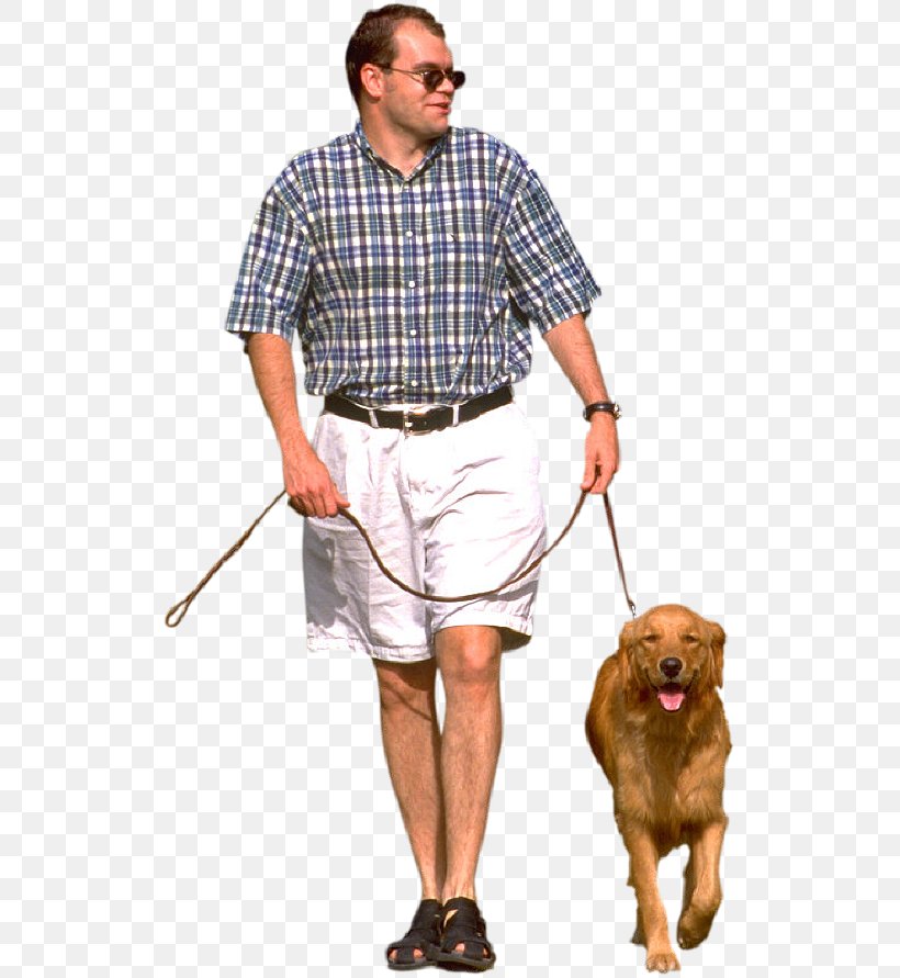 Dog Walking Pet Sitting Labrador Retriever Leash, PNG, 525x891px, Dog Walking, Animal, Clothing, Dog, Dog Like Mammal Download Free