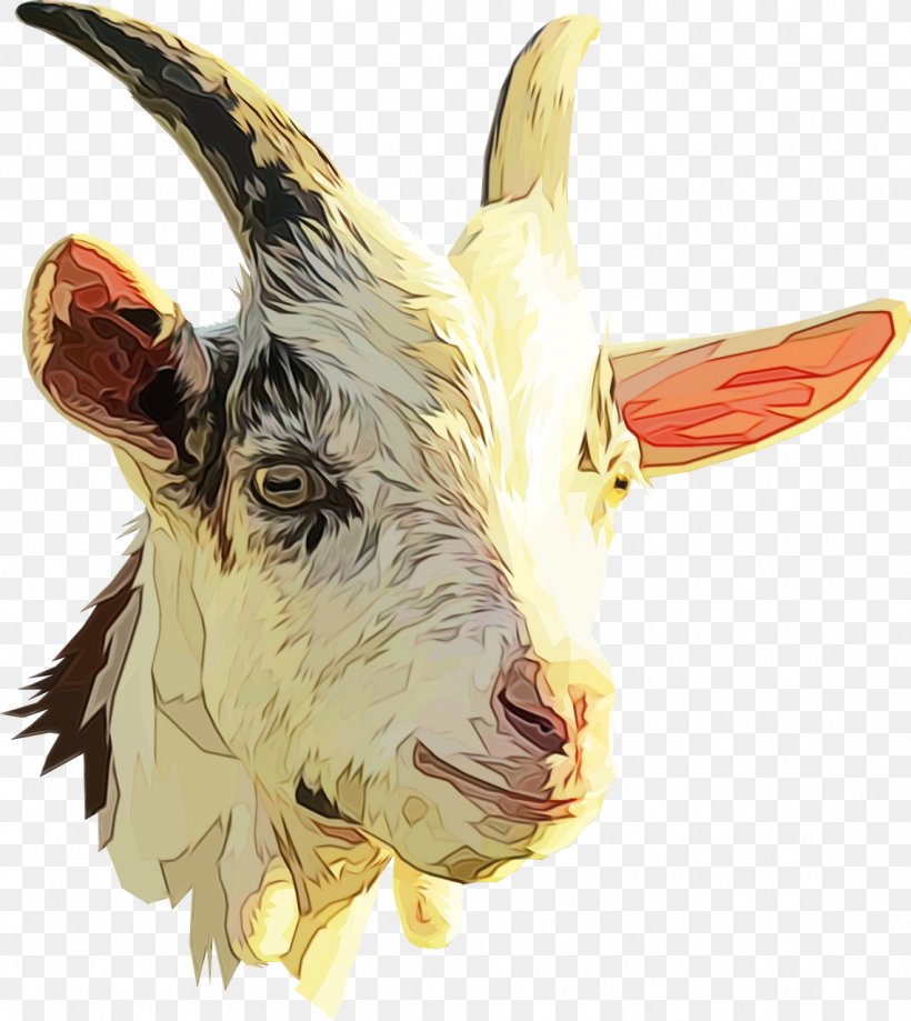 Clip Art Nigerian Dwarf Goat Sheep Boer Goat, PNG, 1141x1280px, Nigerian Dwarf Goat, Bindii, Boer Goat, Bovidae, Bovine Download Free