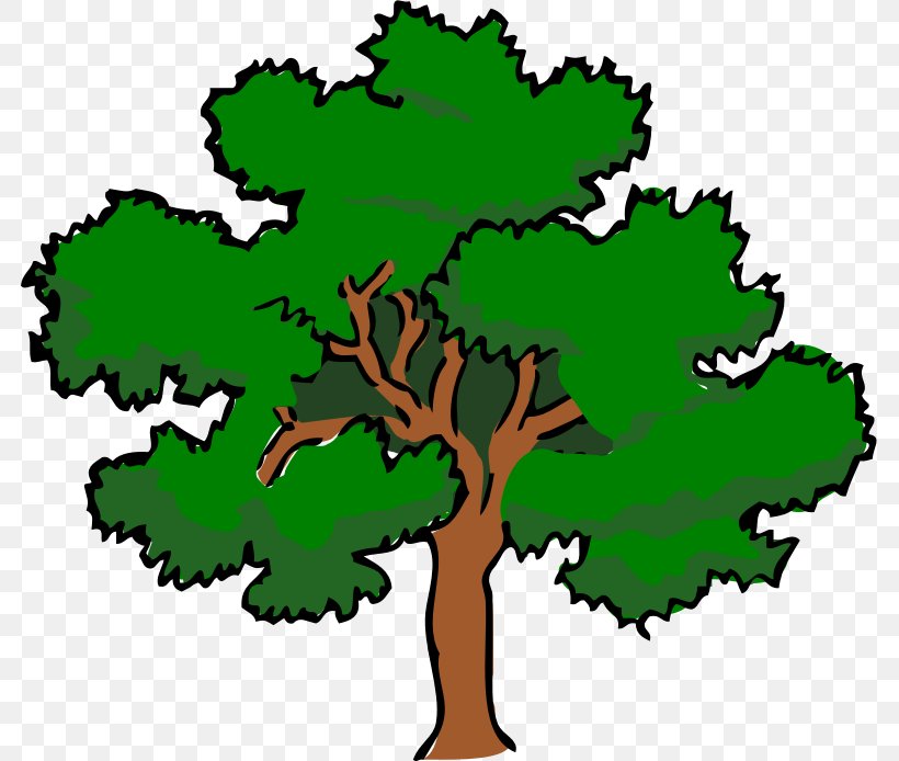 Southern Live Oak Tree Clip Art, PNG, 781x694px, Southern Live Oak, Artwork, Cartoon, Drawing, Flora Download Free