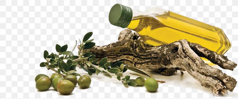 Spanish Cuisine Greek Cuisine Olive Oil, PNG, 921x385px, Spanish Cuisine, Bottle, Bruschetta, Eating, Fish Oil Download Free