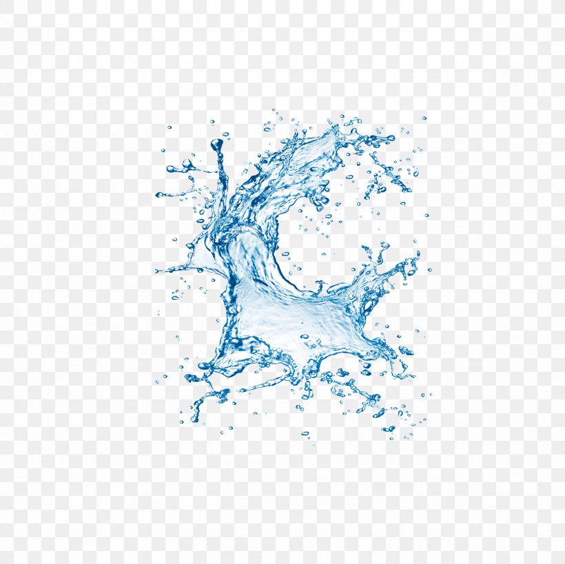 Water Splash Drop Clip Art, PNG, 2362x2362px, Water, Artwork, Blue, Branch, Color Download Free