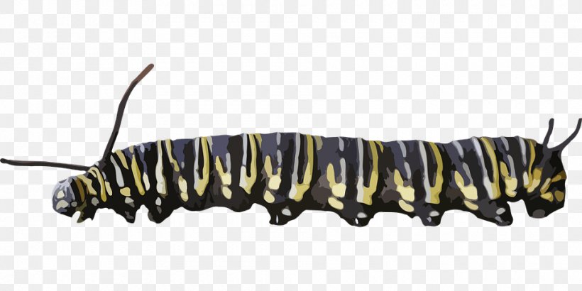 Caterpillar Insect, PNG, 960x480px, Caterpillar, Animal, Arthropod, Drawing, Excavator Download Free