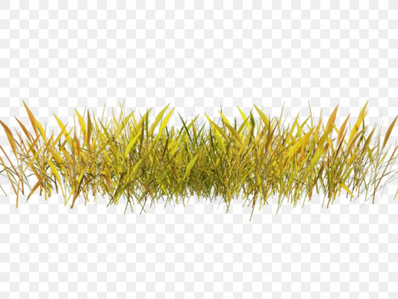 Digital Image Clip Art, PNG, 1024x768px, Digital Image, Adobe Flash, Autumn, Commodity, Grass Download Free