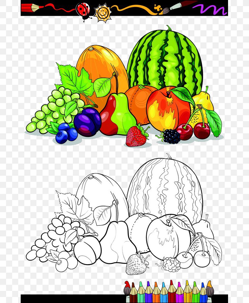 Fruit Vegetable Sketch, PNG, 683x1000px, Watercolor, Cartoon, Flower, Frame, Heart Download Free