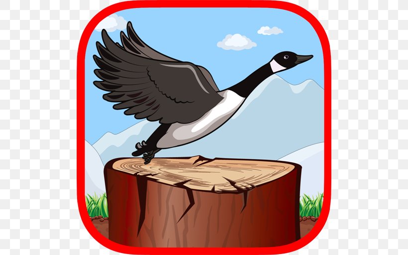 Goose Cygnini Beak Duck Water Bird, PNG, 512x512px, Goose, Beak, Bird, Cygnini, Duck Download Free