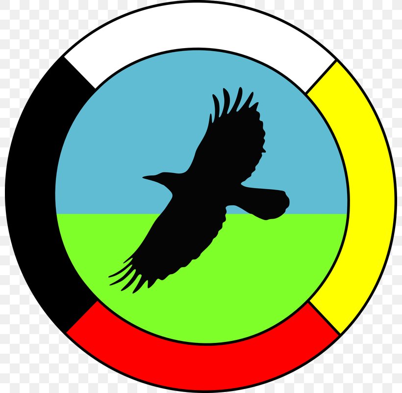 Native Americans In The United States Medicine Wheel Anishinaabe Iroquois Ojibwe, PNG, 800x800px, Medicine Wheel, Americans, Anishinaabe, Area, Artwork Download Free