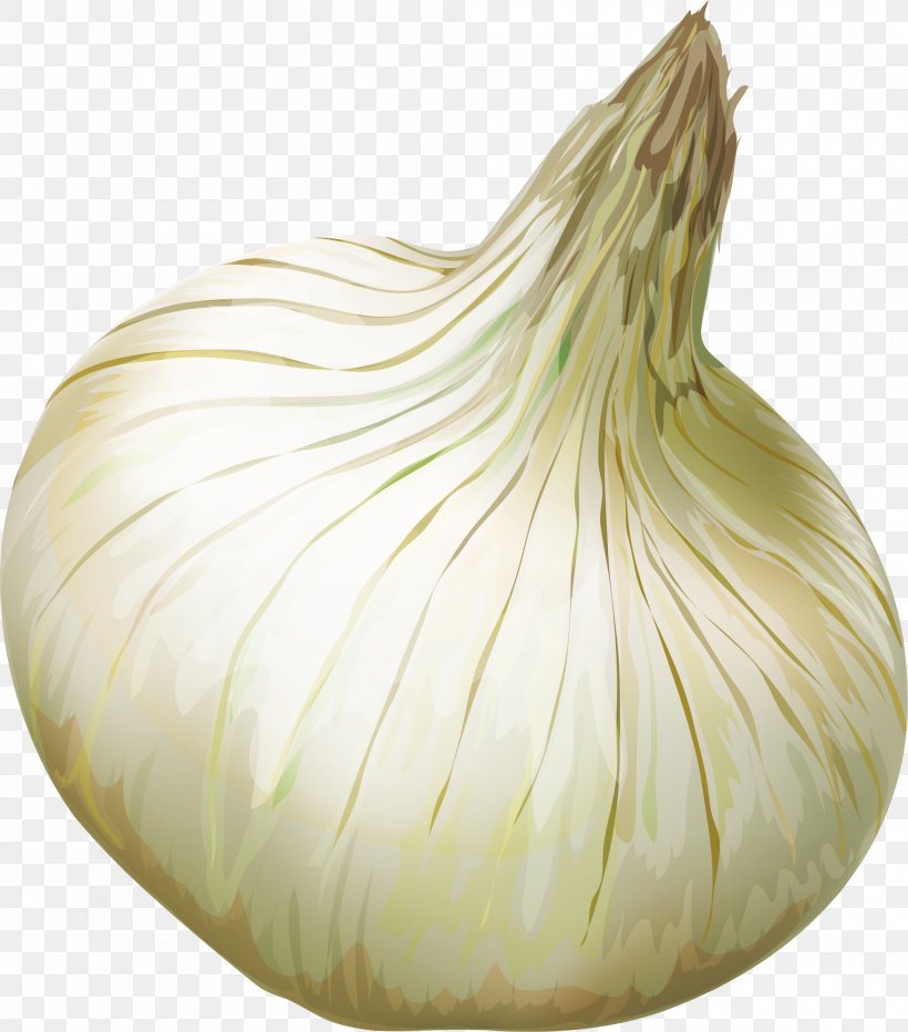 Shallot Elephant Garlic Yellow Onion Vegetable, PNG, 2000x2274px, Shallot, Elephant Garlic, Food, Garlic, Ingredient Download Free