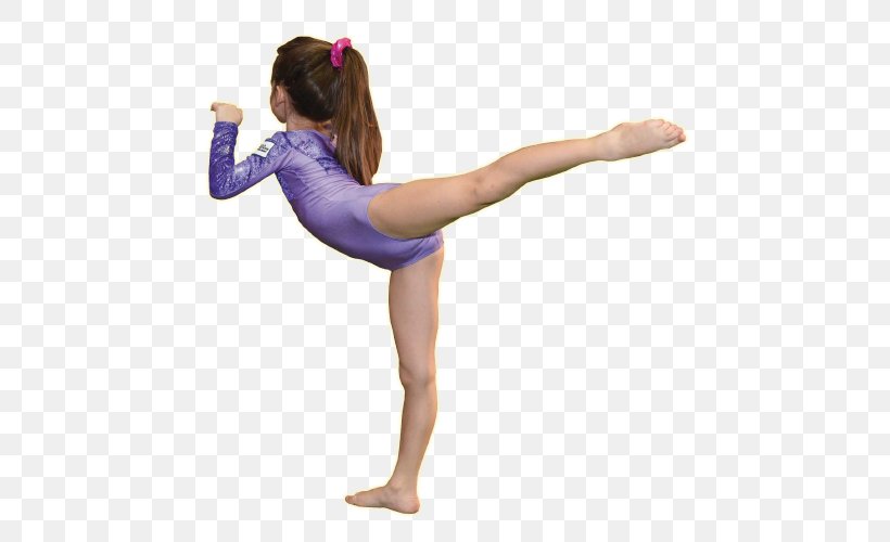Artistic Gymnastics A.S.D. Ginnastica Artistica Foligno Rhythmic Gymnastics Bodysuits & Unitards, PNG, 500x500px, Watercolor, Cartoon, Flower, Frame, Heart Download Free