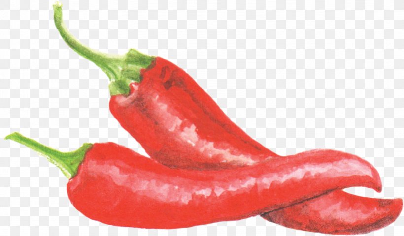 Bird's Eye Chili Piquillo Pepper Serrano Pepper Jalapeño Tabasco Pepper, PNG, 821x481px, Piquillo Pepper, Bell Pepper, Bell Peppers And Chili Peppers, Black Pepper, Capsicum Download Free