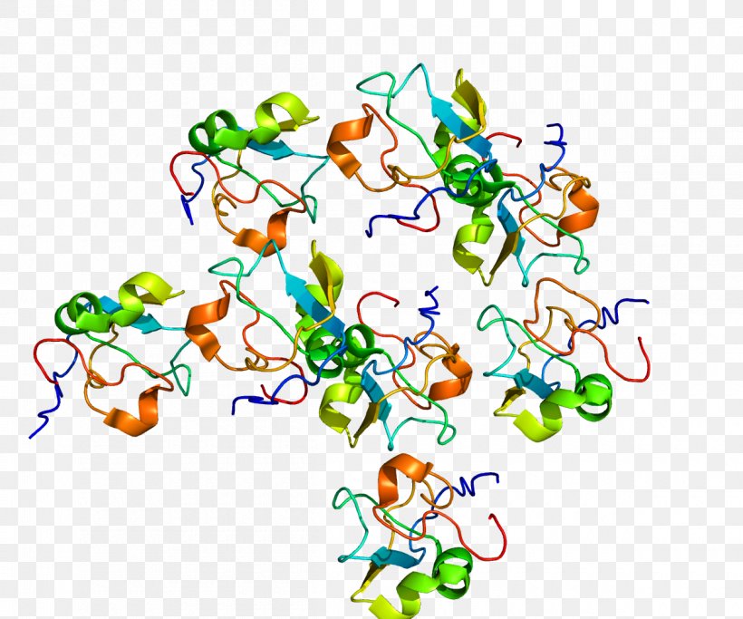 Protein Catabolism Gene Expression RECQL4, PNG, 1200x1000px, Watercolor, Cartoon, Flower, Frame, Heart Download Free