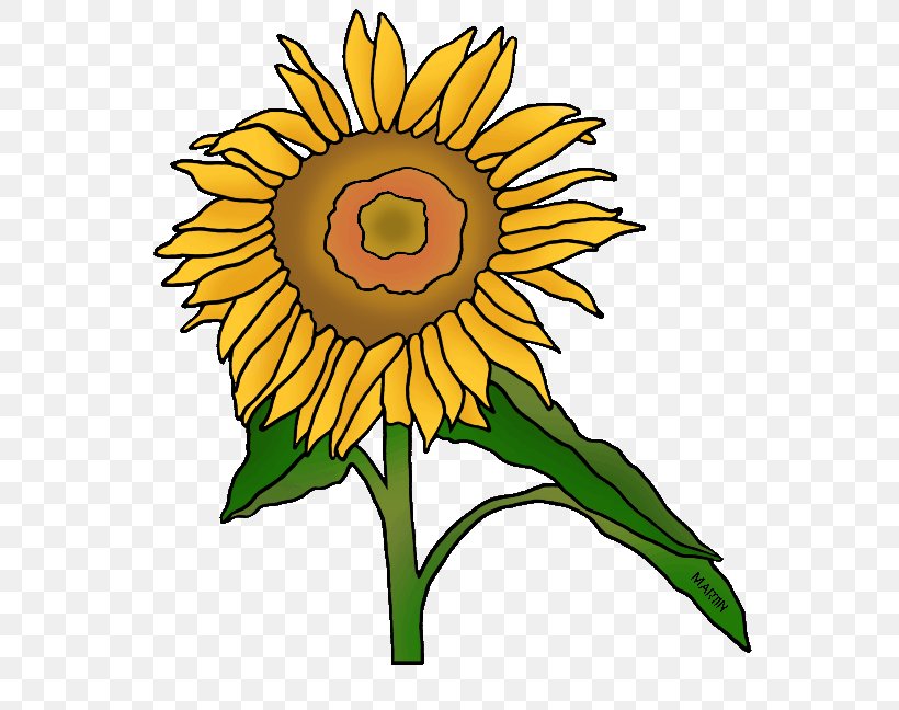 Common Sunflower Kansas Floral Design Clip Art, PNG, 570x648px, Common Sunflower, Artwork, Cut Flowers, Daisy Family, Flag Of Kansas Download Free