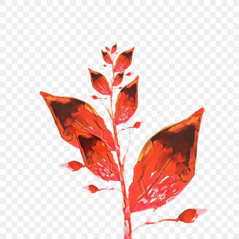 Leaf Red Plant Flower Tree, PNG, 1500x1500px, Cartoon, Coquelicot, Flower, Flowering Plant, Leaf Download Free