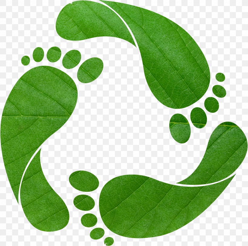 Earth Overshoot Day Ecological Footprint Carbon Footprint Ecology Clip Art, PNG, 1755x1746px, Earth Overshoot Day, Carbon Dioxide, Carbon Footprint, Ecological Footprint, Ecology Download Free