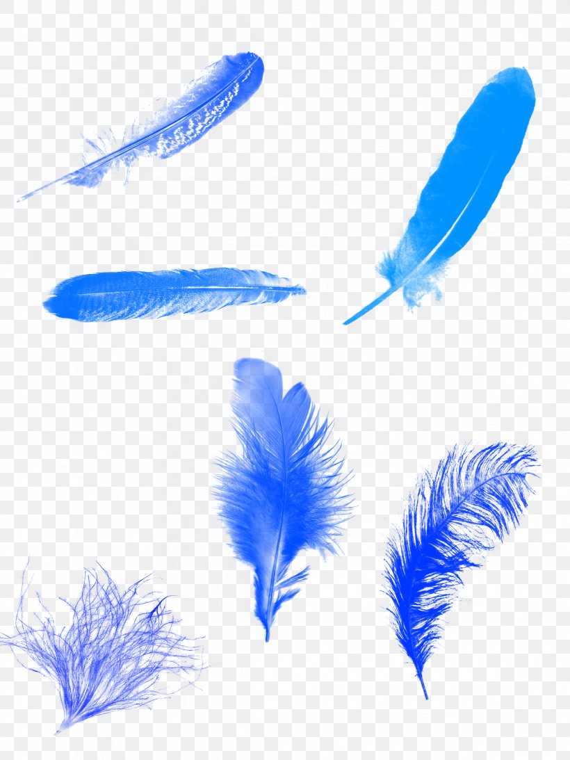 Feather Blue Euclidean Vector Computer File, PNG, 4724x6299px, Feather, Blue, Color, Gratis, Green Download Free